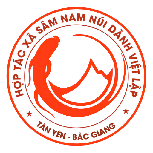 Sâm Nam Núi Dành | Hợp Tác Xã Việt Lập